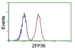 ZFP36 Mouse anti-Human, Clone: OTI1A2, liquid, TrueMAB 100 &mu;L; Unconjugated:Antibodies,