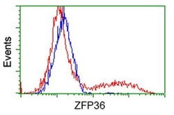 ZFP36 Monoclonal Antibody (OTI4E1), TrueMAB , OriGene 100 &mu;L; Unconjugated:Antibodies,