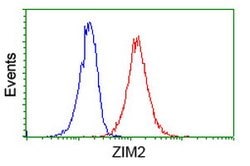 ZIM2 Mouse anti-Human, Clone: OTI5C7, lyophilized, TrueMAB 100 &mu;g; Unconjugated:Antibodies,