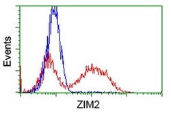 ZIM2 Monoclonal Antibody (OTI5E12), TrueMAB , OriGene 100 &mu;L; Unconjugated:Antibodies,