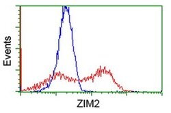 ZIM2 Monoclonal Antibody (OTI7G1), TrueMAB , OriGene 30 &mu;L; Unconjugated:Antibodies,