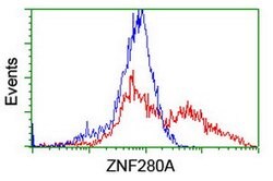 ZNF280A Mouse anti-Human, Clone: OTI2H3, lyophilized, TrueMAB 100 &mu;g;