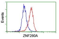 ZNF280A Mouse anti-Human, Clone: OTI2H3, lyophilized, TrueMAB 100 &mu;g;
