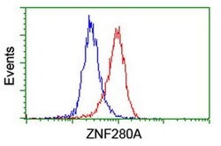 ZNF280A Monoclonal Antibody (OTI2H3), TrueMAB , OriGene:Antibodies:Primary