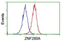 ZNF280A Mouse anti-Human, Clone: OTI2H3, lyophilized, TrueMAB 100 &mu;g;