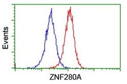 ZNF280A Monoclonal Antibody (OTI2H3), TrueMAB , OriGene:Antibodies:Primary