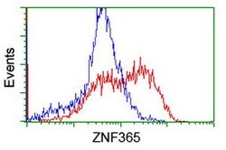 ZNF365 Mouse anti-Human, Clone: OTI8G7, lyophilized, TrueMAB 100 &mu;g;