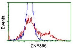 ZNF365 Mouse anti-Human, Clone: OTI5B9, lyophilized, TrueMAB 100 &mu;g;