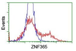ZNF365 Monoclonal Antibody (OTI5B9), TrueMAB , OriGene 100 &mu;L; Unconjugated:Antibodies,