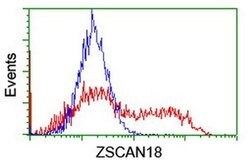 ZSCAN18 Monoclonal Antibody (OTI2D3), TrueMAB , OriGene:Antibodies:Primary