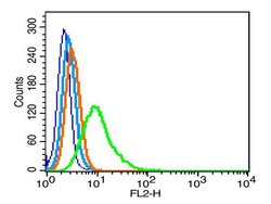Phospho-CREB-1 (Ser133) Rabbit anti-Human, Polyclonal, Bioss 100 &mu;L;