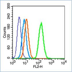Insulin Receptor alpha Rabbit anti-Human, Polyclonal, Bioss 100 &mu;L;