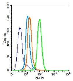 Bax Rabbit anti-Human, Polyclonal, Bioss 100 &mu;L; Unconjugated:Antibodies,