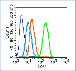 GAP43 Rabbit anti-Human, Polyclonal, Bioss 100 &mu;L; Unconjugated:Antibodies,