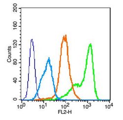 EGFR Rabbit anti-Human, Polyclonal, Bioss 100 &mu;L; Unconjugated:Antibodies,