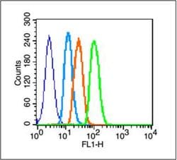 EGFR Rabbit anti-Human, Polyclonal, Bioss 100 &mu;L; Unconjugated:Antibodies,