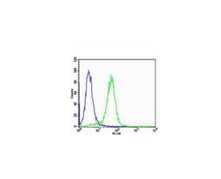 VEGF Rabbit anti-Human, Polyclonal, Bioss 100 &mu;L; Unconjugated:Antibodies,