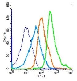 Histone H3 Rabbit anti-Human, Polyclonal, Bioss 100 &mu;L; Unconjugated:Antibodies,