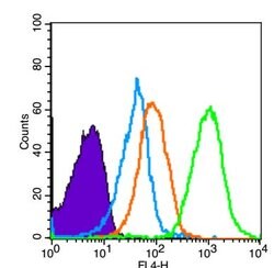 SCF Rabbit anti-Human, Polyclonal, Bioss 100 &mu;L; Unconjugated:Antibodies,