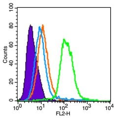 SCF Rabbit anti-Human, Polyclonal, Bioss 100 &mu;L; Unconjugated:Antibodies,
