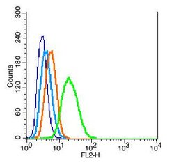 Mfn1 Rabbit anti-Human, Polyclonal, Bioss 100 &mu;L; Unconjugated:Antibodies,