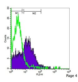 CD4 Rabbit anti-Human, Polyclonal, Bioss 100 &mu;L | Buy Online | Bioss | Fisher Scientific