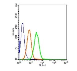 LRP Rabbit anti-Human, Polyclonal, Bioss 100 &mu;L; Unconjugated:Antibodies,