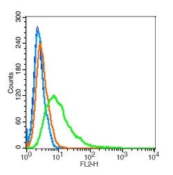 B7H4 Rabbit anti-Human, Polyclonal, Bioss 100 &mu;L; Unconjugated:Antibodies,