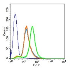 PEPT1 Rabbit anti-Human Mouse Rat, Polyclonal, Bioss 100 &mu;L; Unconjugated:Antibodies,