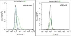 PEPT1 Rabbit anti-Human Mouse Rat, Polyclonal, Bioss 100 &mu;L; Unconjugated:Antibodies,
