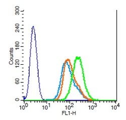 RANKL Rabbit anti-Human, Polyclonal, Bioss 100 &mu;L; Unconjugated:Antibodies,