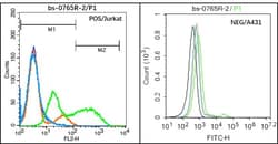 CD3 epsilon Rabbit anti-Human, Polyclonal, Bioss 100 &mu;L; Unconjugated:Antibodies,