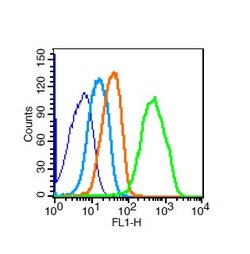 VE Cadherin Rabbit anti-Human, Polyclonal, Bioss 100 &mu;L; Unconjugated:Antibodies,