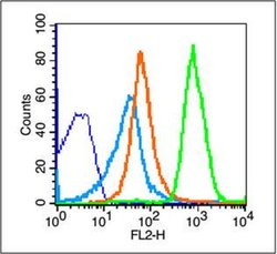 NKG2D Rabbit anti-Human, Polyclonal, Bioss 100 &mu;L; Unconjugated:Antibodies,