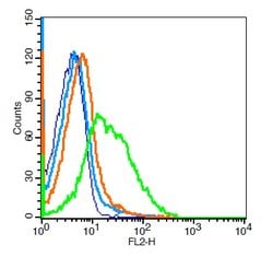 CD38 Rabbit anti-Human, Polyclonal, Bioss 100 &mu;L; Unconjugated:Antibodies,