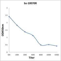 IL-31 Rabbit anti-Human, Polyclonal, Bioss 100 &mu;L; Unconjugated:Antibodies,