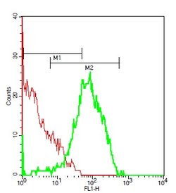Phospho-Ron (Tyr1238, Tyr1239) Rabbit anti-Human Mouse Rat, Polyclonal, Bioss 100 &mu;L | Buy Online | Bioss | Fisher Scientific