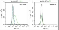 CMKLR1 Rabbit anti-Human, Polyclonal, Bioss 100 &mu;L; Unconjugated:Antibodies,
