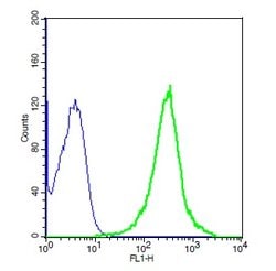 TLR2 Rabbit anti-Human, Polyclonal, Bioss 100 &mu;L; Unconjugated:Antibodies,