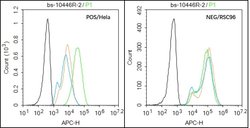 HPV16-E7 Rabbit anti-Virus, Polyclonal, Bioss 100 &mu;L; Unconjugated:Antibodies,