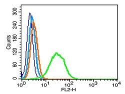 GPM6A Rabbit anti-Human, Polyclonal, Bioss 100 &mu;L; Unconjugated:Antibodies,