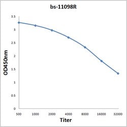 NLGN1/NLGN2 Rabbit anti-Human, Polyclonal, Bioss 100 &mu;L; Unconjugated:Antibodies,