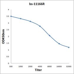 SorLA Rabbit anti-Human, Polyclonal, Bioss 100 &mu;L; Unconjugated:Antibodies,