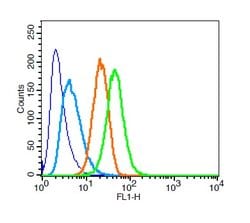 STAT3 Rabbit anti-Human, Polyclonal, Bioss 100 &mu;L; Unconjugated:Antibodies,