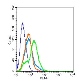 NMUR1/GPR66 Rabbit anti-Human, Polyclonal, Bioss 100 &mu;L; Unconjugated:Antibodies,