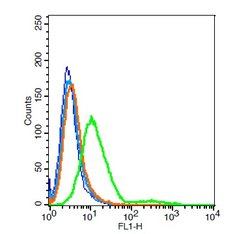 GALR2 Rabbit anti-Human, Polyclonal, Bioss 100 &mu;L; Unconjugated:Antibodies,