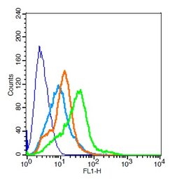 TPIA2/PTPRN Rabbit anti-Human, Polyclonal, Bioss 100 &mu;L; Unconjugated:Antibodies,