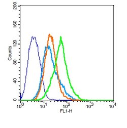 RAI3 Rabbit anti-Human, Polyclonal, Bioss 100 &mu;L; Unconjugated:Antibodies,