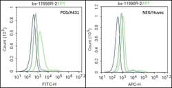 CHRM4/mAChR M4 Rabbit anti-Human, Polyclonal, Bioss 100 &mu;L; Unconjugated:Antibodies,