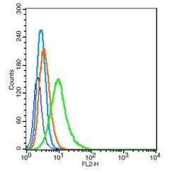 GABRA2/GABA A Receptor alpha 2 Rabbit anti-Human, Polyclonal, Bioss 100 &mu;L | Buy Online | Bioss | Fisher Scientific